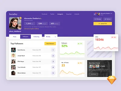 The Social Dashboard [Sketch]💎 analytics app business calendar cards dashboard dashboard design desktop freebie instagram list profile sketch social social app social media statistics tab upload web