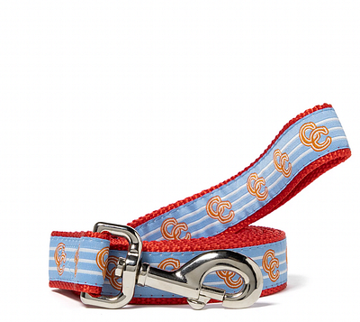 Concepts Dog Leash design merchandising product design production vector