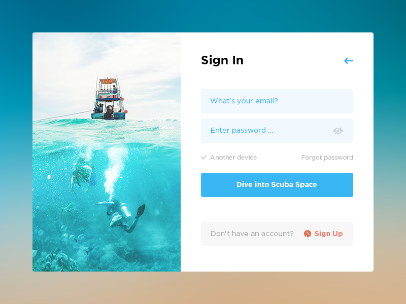 Example of Sign In