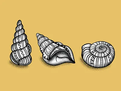 Zentangle Shells mollusc pattern sea shells shell shells snail zentangle