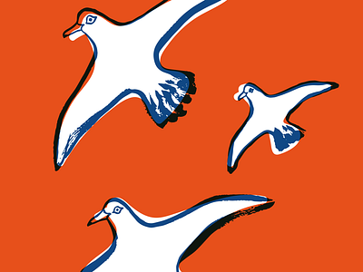 SUQ_03 - seagulls editorial illustration illustration magazine travelguide