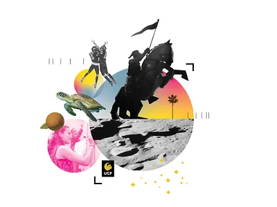 Another UCF collage central florida collage color knight ucf