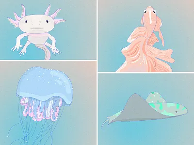 Sea Creatures art cartoon coral digital drawing guppy illustration jellyfish ocean sea stingray xlotl