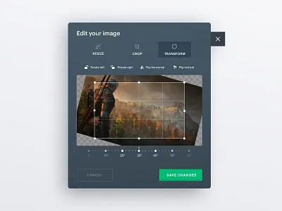 Image Editor Mini crop design editor figma image editing interface photo editor popup uiux webdesign