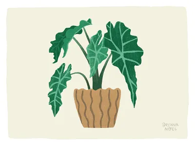 Alocasia alocasia botanical hand drawn home decor house plant illustration illustrator ipad pro leaves neutrals photoshop plant plant series plants pottery procreate texture tropical wacom