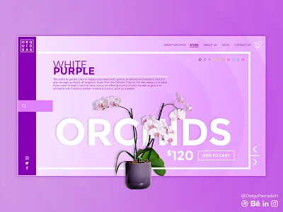 Orquids Shop UI UX AI ai creative design designinspiration diego diegoparrado digital dribbble graphic graphicdesign orchids parrado purple shop store ui uiux ux webdesign website