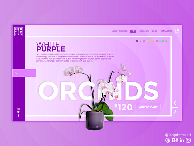 Orquids Shop UI UX AI ai creative design designinspiration diego diegoparrado digital dribbble graphic graphicdesign orchids parrado purple shop store ui uiux ux webdesign website