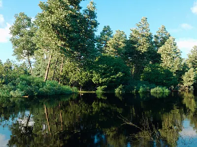 Lakeside house 3d 3dsmax corona design interior light render zhitnik