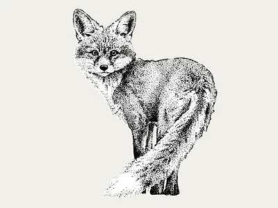 Dotwork Fox animal blackwork creativemarket dotwork forest fox illustration ink vector
