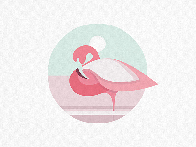 Flamingo flamingo graphicdesign illustration soft vector