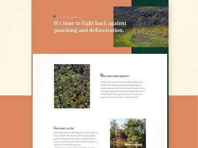 Conservation Website detail banner charity charitywater conservation deforestation design national park rainforest squarespace web design website