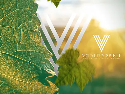 Vitality - Promo brand brand identity branding logo mark symbol wines