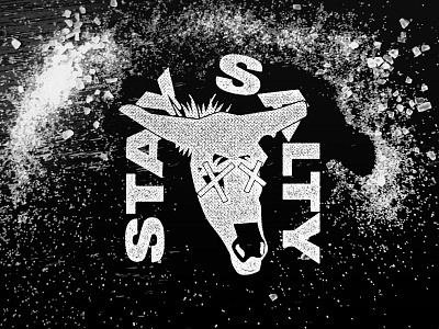 Stay Salty : ) blackandwhite donkey salt texture