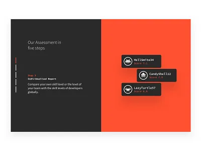 Skillerz Illustrations assessment brand coders development geeky illustration nerd