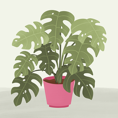 House Plants - Monstera design digital art drawing house plant illustration indoor plant monstera nature plants pot plant procreate