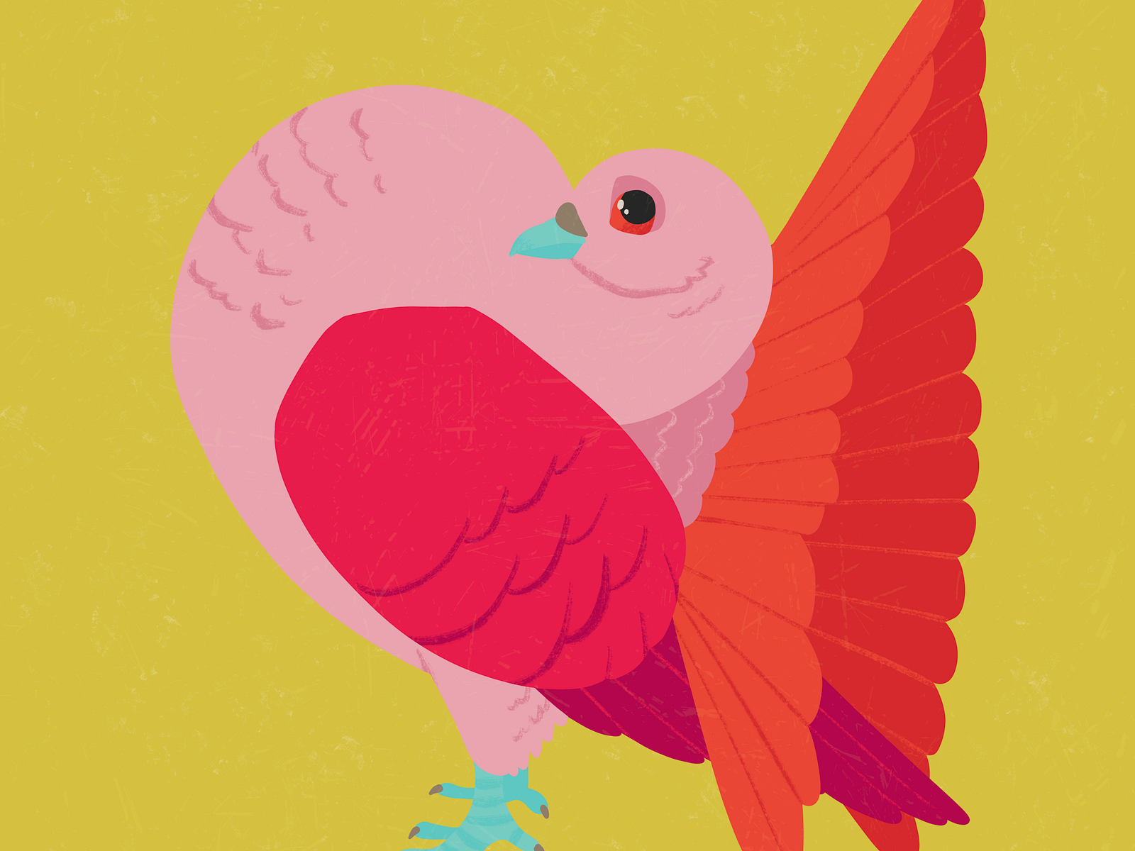 fancy-pigeon-03-by-theo-harris-on-dribbble