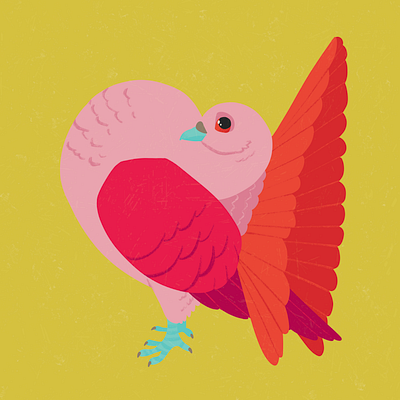 Fancy Pigeon 03 bird colourful design digital art illustration nature pigeon procreate retro