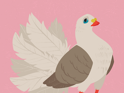 Fancy Pigeon 04 bird colourful design digital art dove illustration nature pigeon procreate