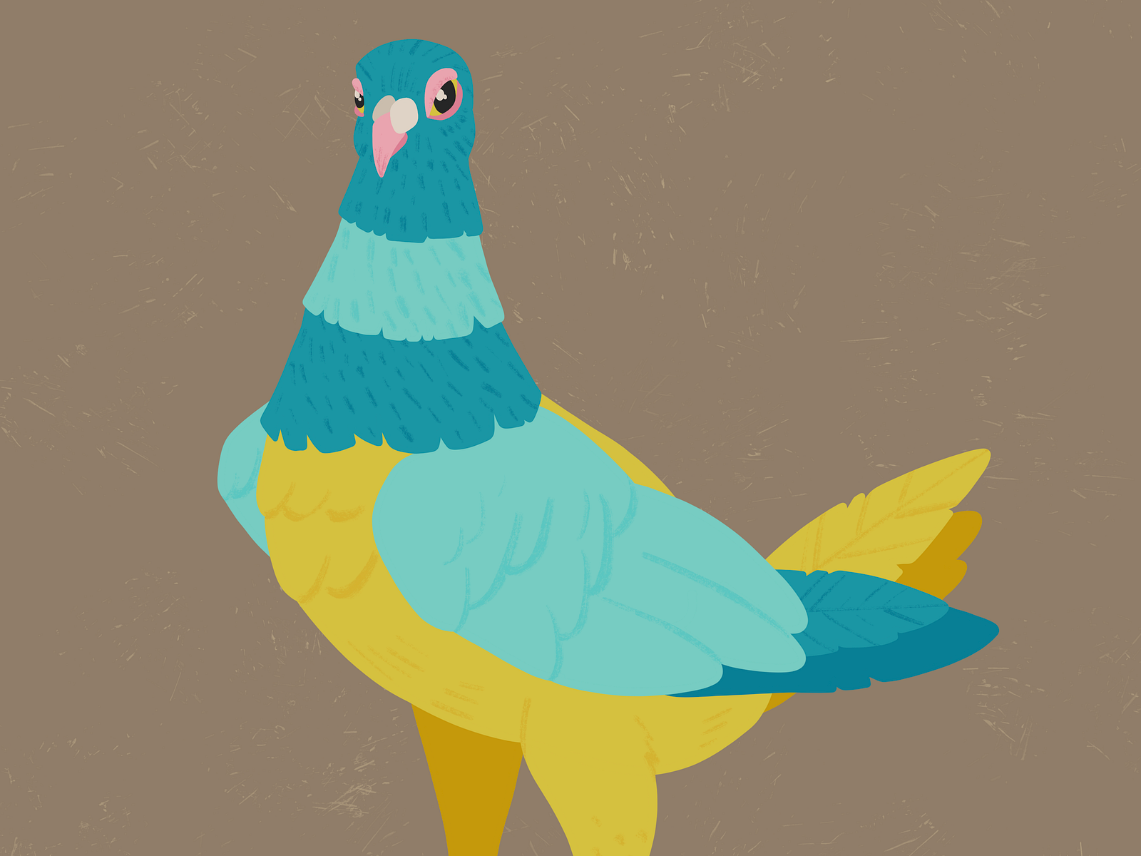 fancy-pigeon-05-by-theo-harris-on-dribbble