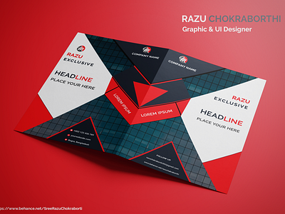 Razu Exclusive design illustration ui ux