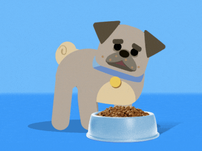 HALO Pet Food - Pickles 2d 2d animation animation character character animation dog dog illustration illustration motion graphics pet portland pug
