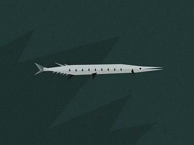 Fish Friday: Flat Needlefish awareness challenge character coast design fish flat needlefish friday illustration jrdickie minimal ocean pollution practice print rocks sea sharp silver vector