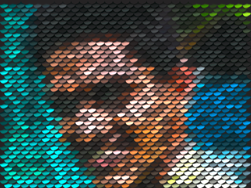 Coins Portrait action actions animated gif animation coin design gif graphic design graphic art illustration mosaic pattern photoshop photoshop action