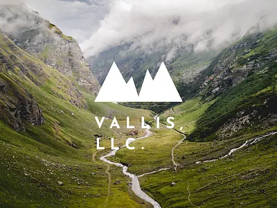 VALLIS, LLC. logo design ci debut shot debuts design logo vi