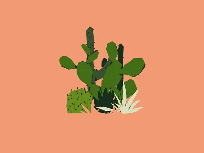q8 cactus design illustration motiongraphics procreate