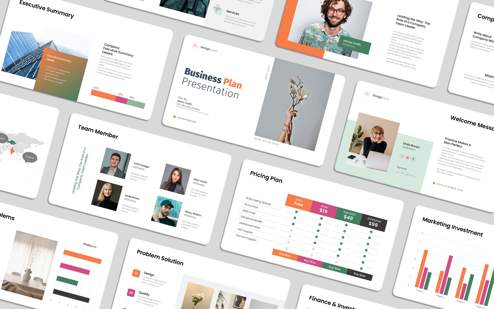 Professional Business Plan Presentation marketing report