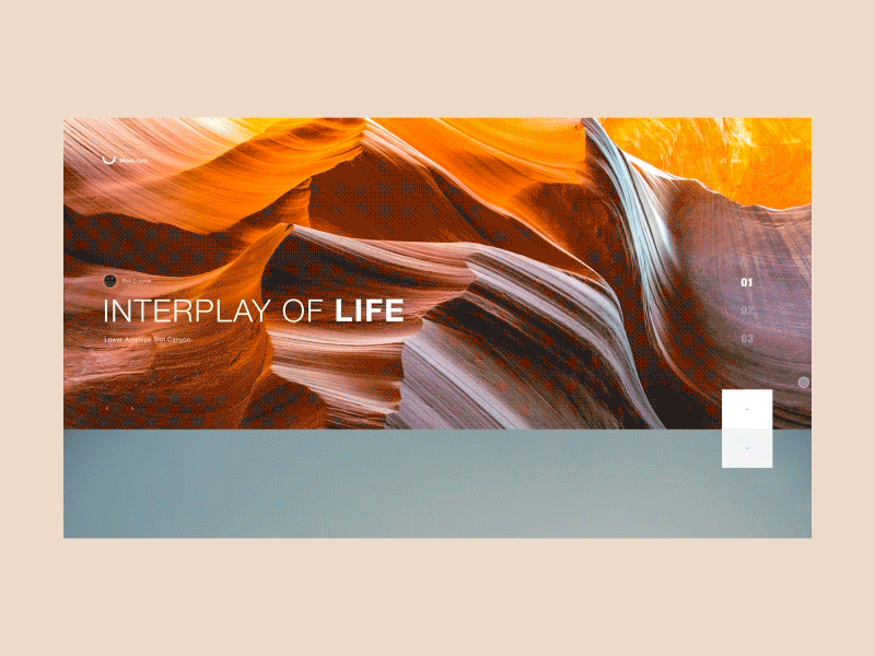 Day-04-c animation app branding copy painting design illustration sketch typography ui ux vector