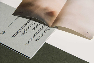 FROTH OF THE DAYDREAM - EDITORIAL DESIGN (“L'écume des jours”) book design branding editorial graphic design layout design logo revue