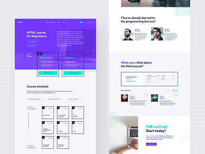 #3 - Codenga. E-learning platform. app clean course courses elearning flat homepage landingpage learning minimalistic modern platform programming purple teaching ui ux webapp website welcome screen