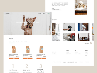 CaspianPets beige card clean concept design dog light minimal pet pet store photography simple ui web white