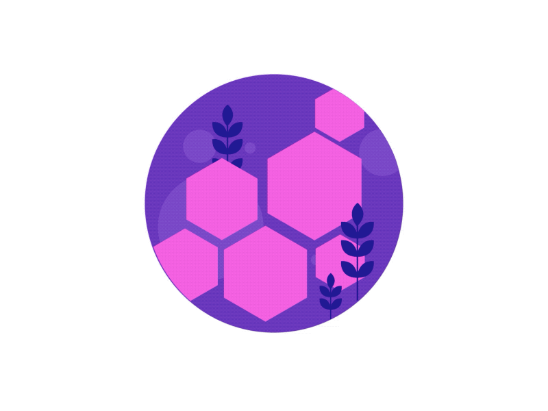 bees aftereffects animate animation badges bees gif hive illustration insects
