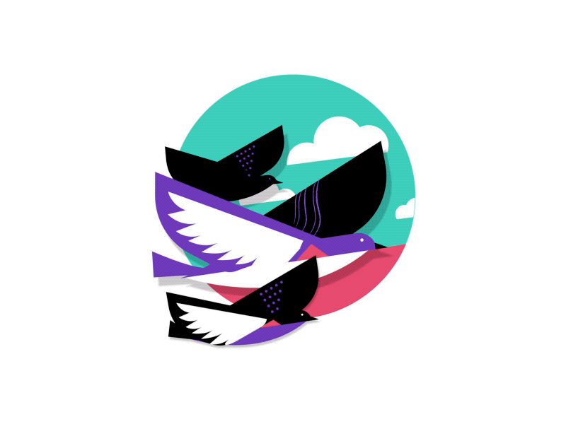 Birds mid flight aftereffects animate animation birds flight gif illustration sky wings