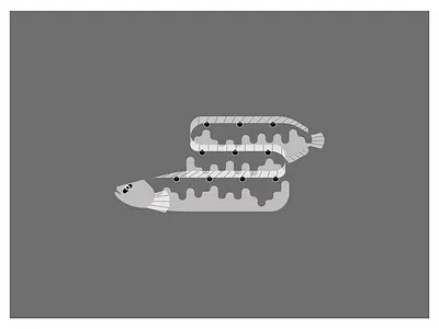Gunnel digital fisch illustration northsea waddensea work in process
