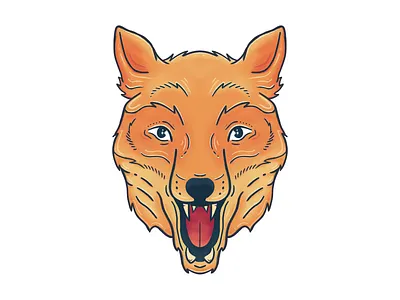 Fox animal apple pencil austin fox fox face fox illustration procreate toronto