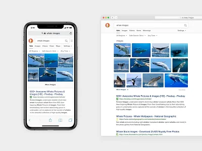 Better Image Results 🐳 design duckduckgo images mobile photos privacy redesign search serp ui ux web