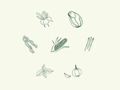 Food illustration food food illustration illustration illustration art