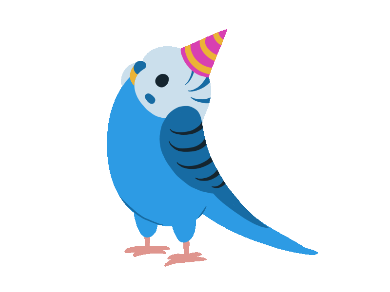 Party Parakeet animation gif party party parakeet procreate procreate app stickers