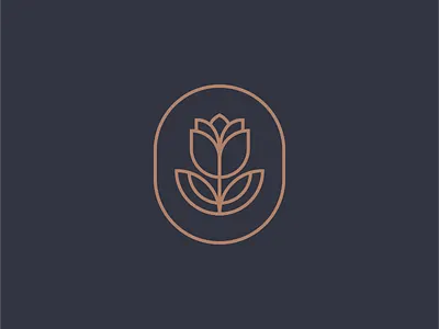 Blue River Wellness apothecary brand identity branding freelance freelance design logo logo concept logo design wellness