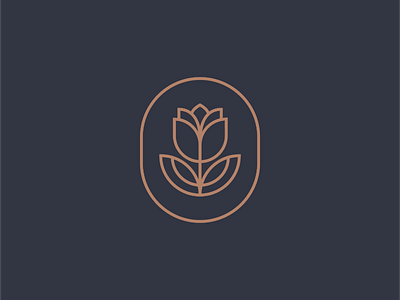 Blue River Wellness apothecary brand identity branding freelance freelance design logo logo concept logo design wellness