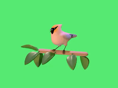 waxwing 3d 3d animation blender3d design illustration