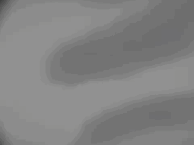 Fish And Space Logo Animation animation dribbble fish hellodribbble logo procreate procreate5 procreateanimation space