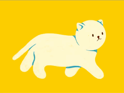 Round Cat animal animation cat character character design cute frame by frame kitty motion motion design motion graphic walk cycle walking