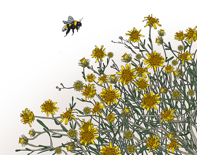 Save the bee bee flowers illustration nature