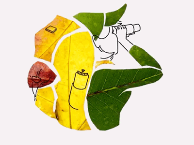 Nation Hiking Day animation backpacking binoculars cel character design fall frame by frame hike illustration leaf leaves mountains multimedia stop motion