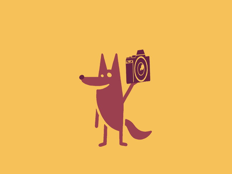 Example of Camera Juggle Instagram Sticker for Seeke Creative