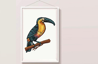 Birds vector illustrations graphic design illustration ui